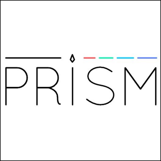 Prism1.JPG>