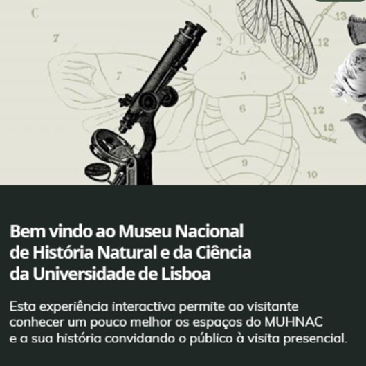 Museu_Nacional_de_Hist_ria_Natural_e_da_.JPG>