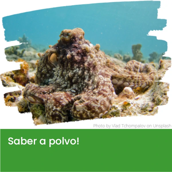 Saber_a_polvo3.webp>