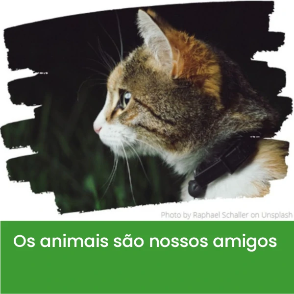Os_animais_s_o_nossos_amigos3.webp>