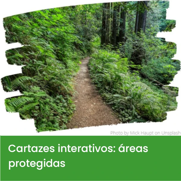 Cartazes_interativos3.webp>