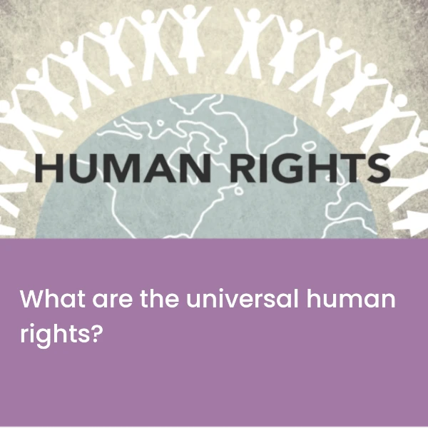 What_are_the_universal_human_rights.webp>