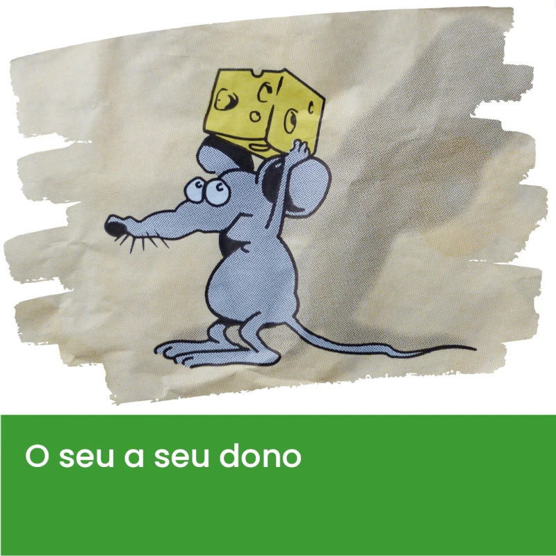 O_seu_a_seu_dono2.webp>