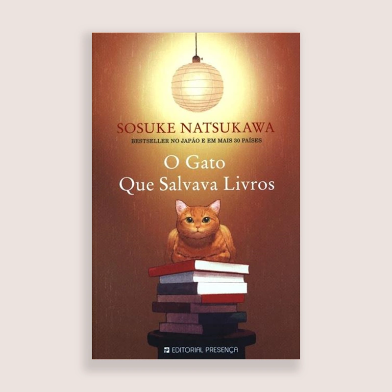 o_gato_que_salvave_livros.webp>