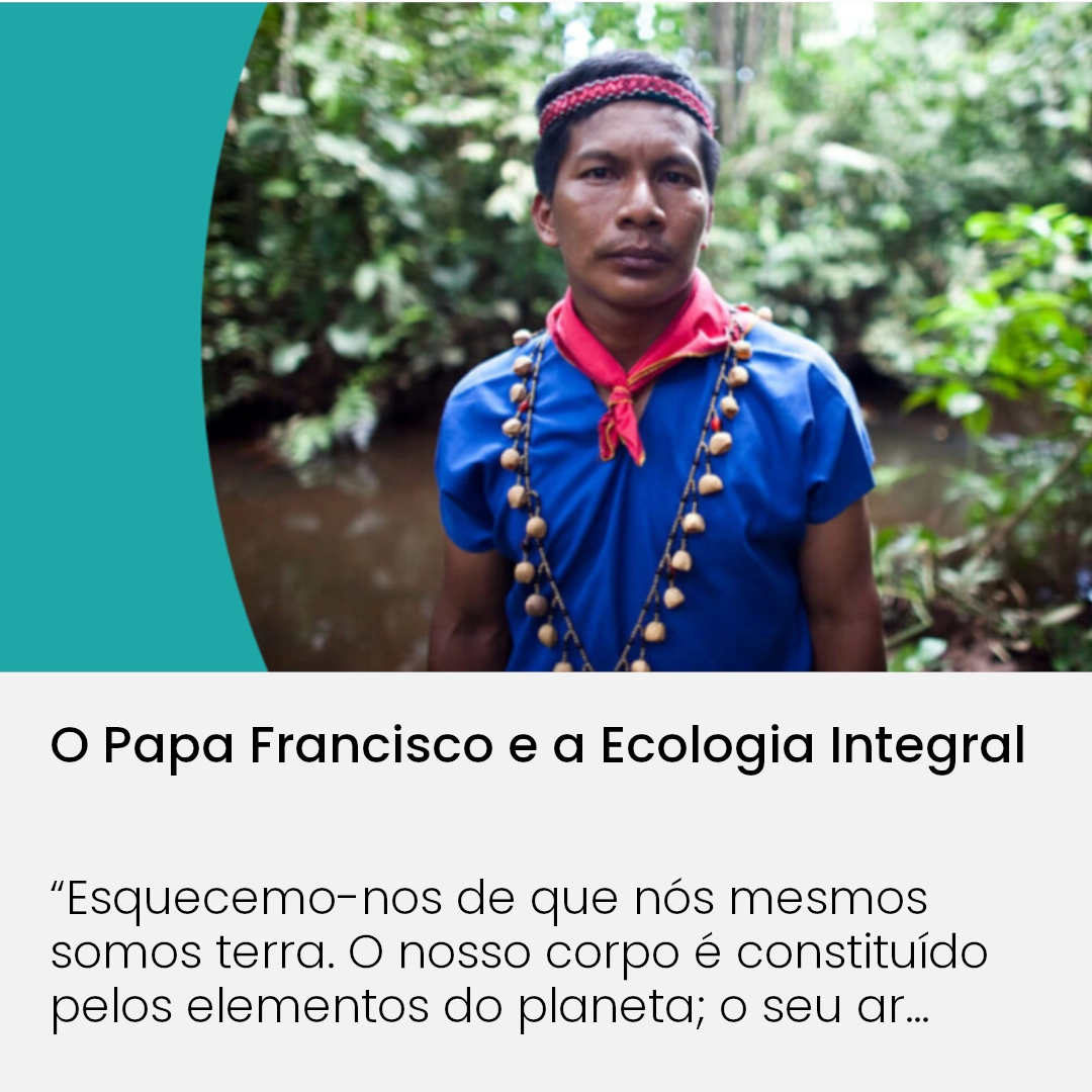 o_papa_francisco_e_a_ecologia.webp>