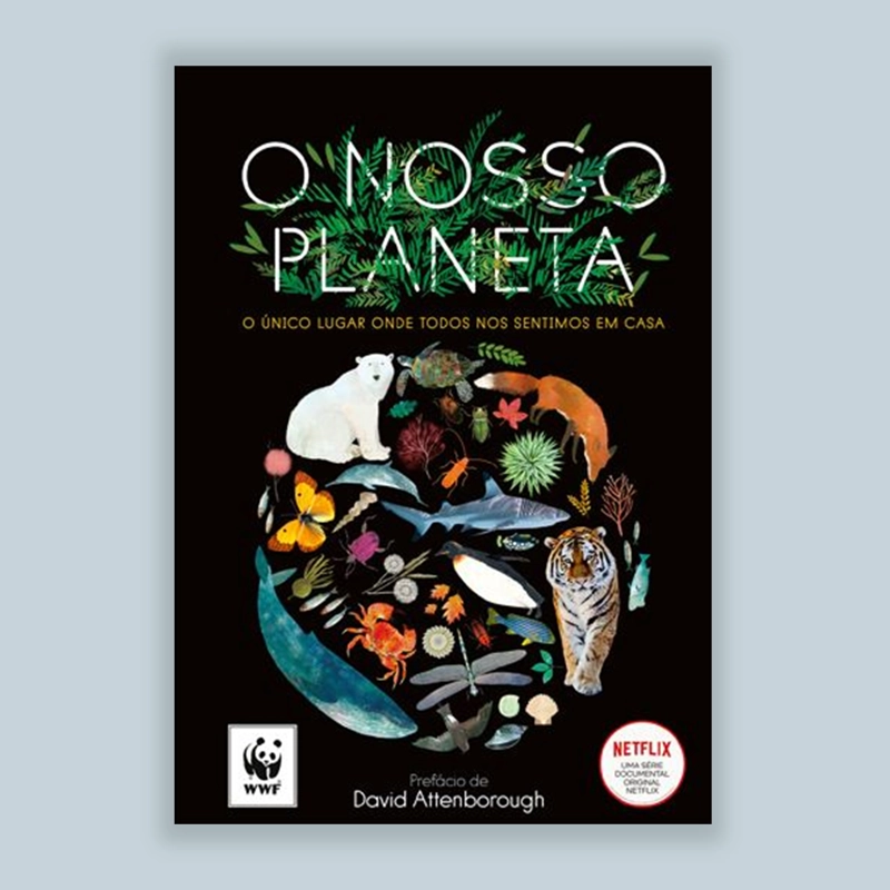 o_nosso_planeta.webp>