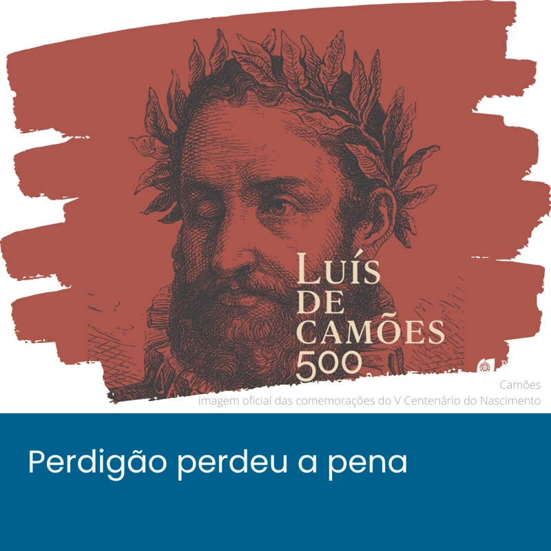 Perdig_o_perdeu_a_pena1.webp>